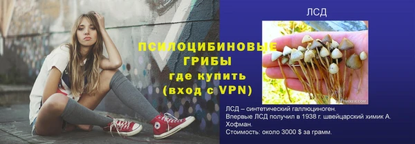 метадон Армянск
