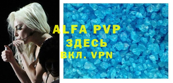 индика Балабаново