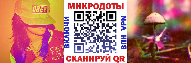 Галлюциногенные грибы Cubensis Макарьев